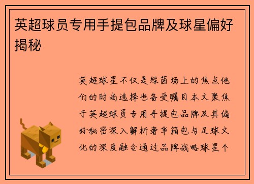 英超球员专用手提包品牌及球星偏好揭秘